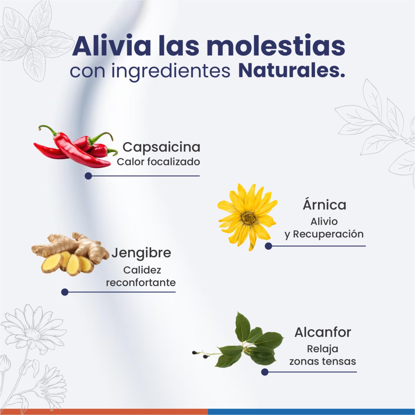 Miocrem Rojo 60 g | Crema con efecto calor para el bienestar muscular y articular