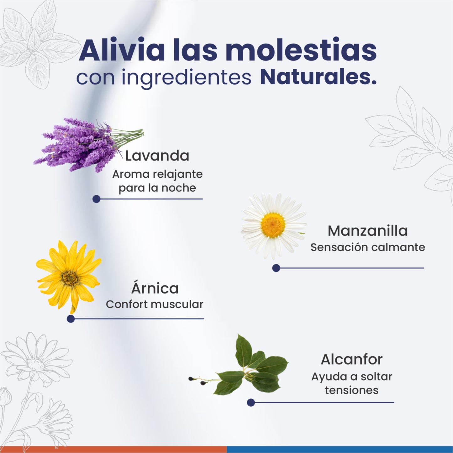 Miocrem Noche 60 g  Crema relajante con aromaterapia que favorece el descanso